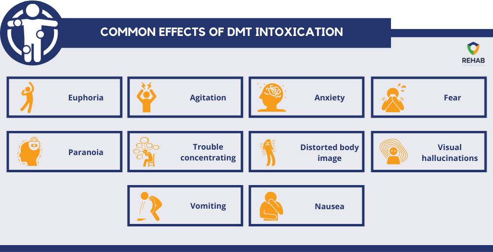 Common Effects of DMT