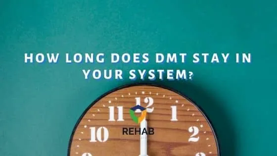 How Long Does DMT Stay in Your System?